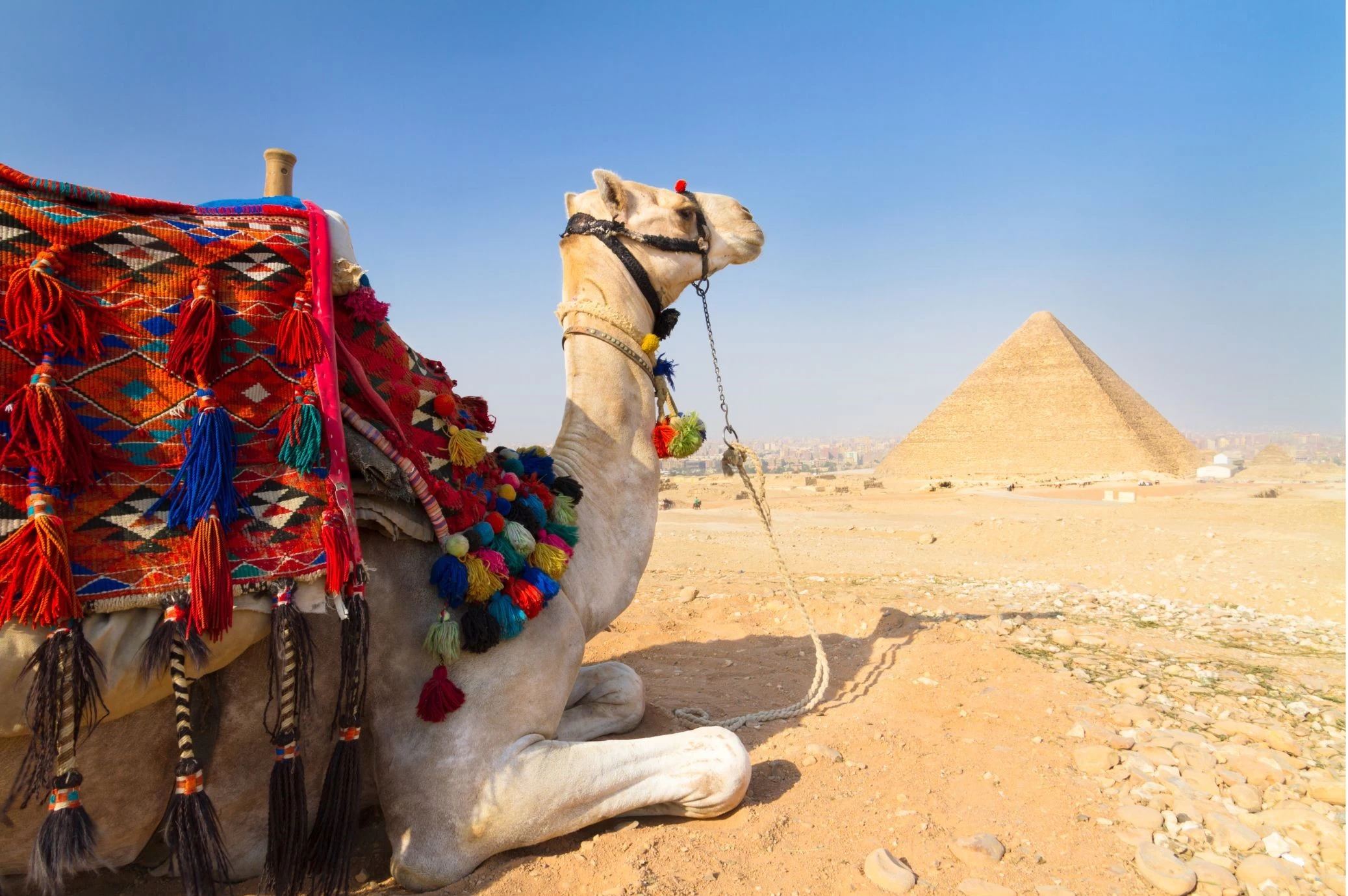 RELAX da FARAONI: CAIRO e SHARM